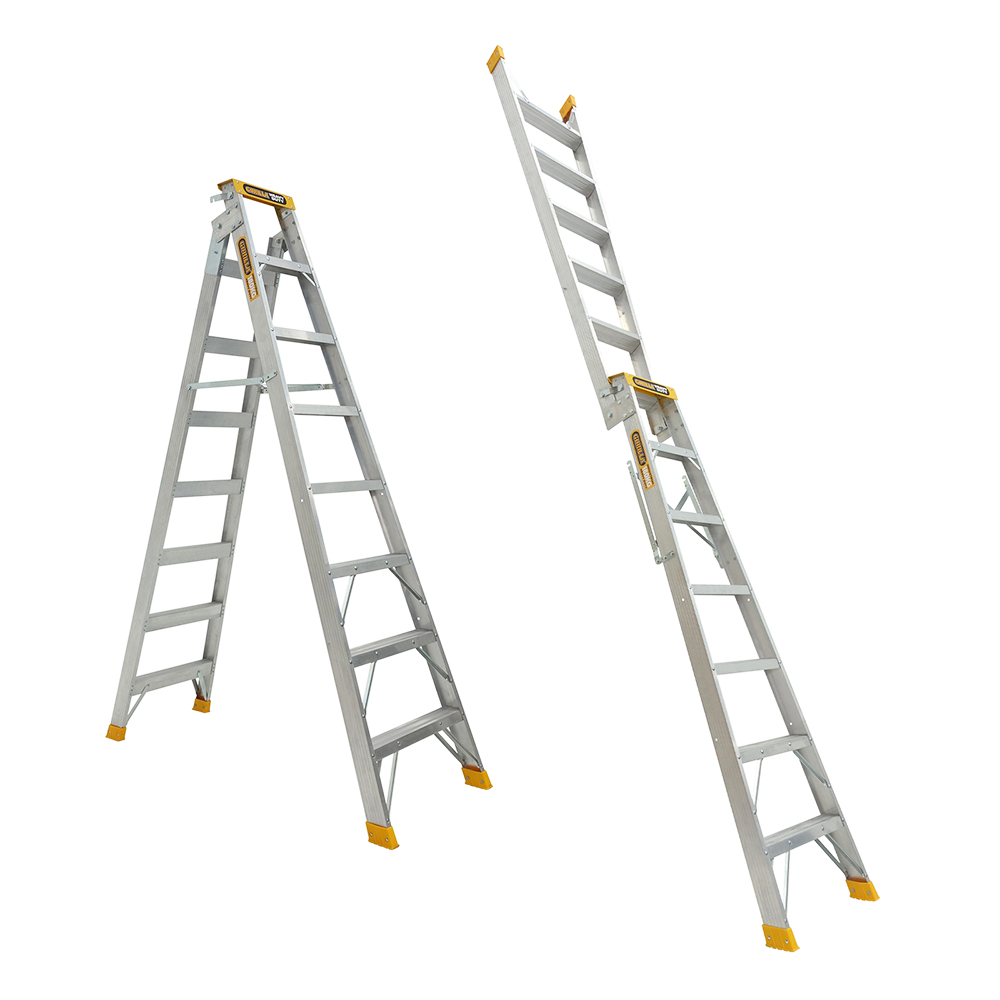 Dual purpose ladder discount