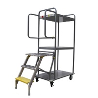 350kg Rated 3 Tier Platform Trolley With Fold Away Ladder - 2 Step - 810 x 580mm